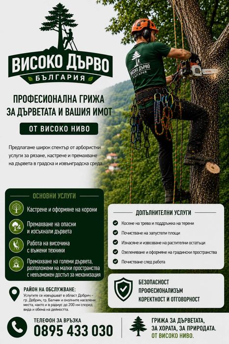 Професионално кастрене и рязане на опасни дървета - Варна (Арборист)