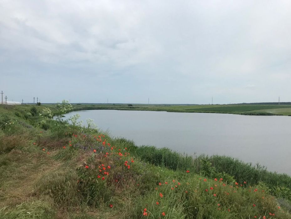 Teren 800 mp lingă lac + asfalt +utilitati- Fundeni, Călărași