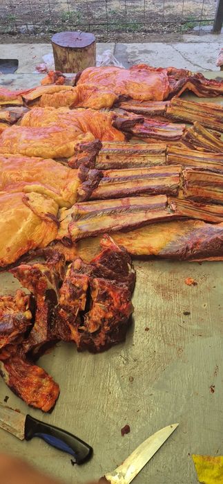 Семиз тайлар бар