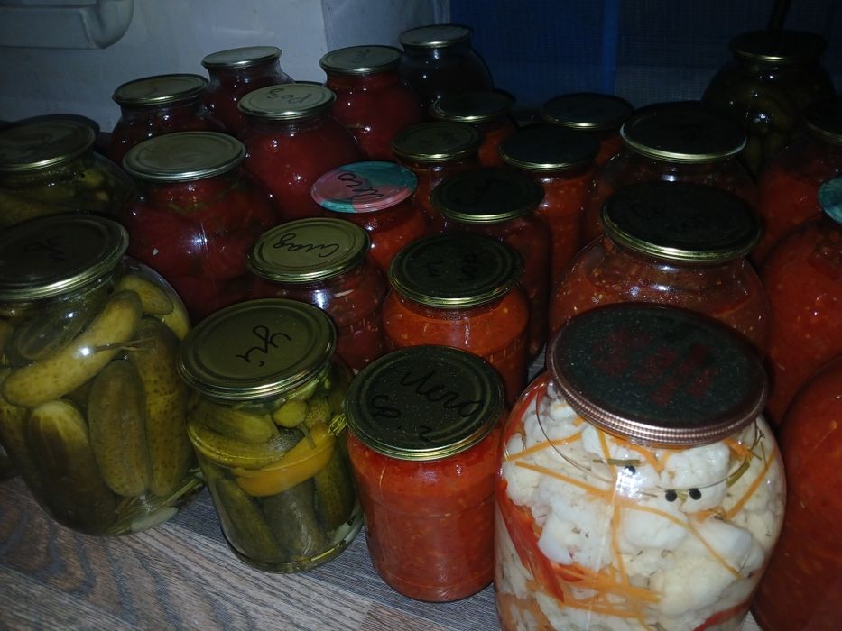 продам домашние солёная