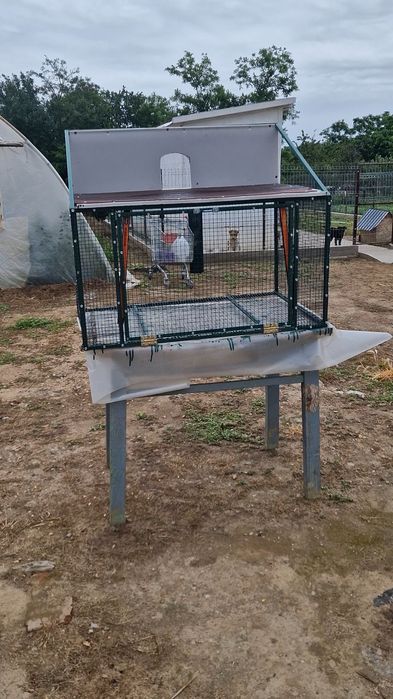 Sputnik porumbei