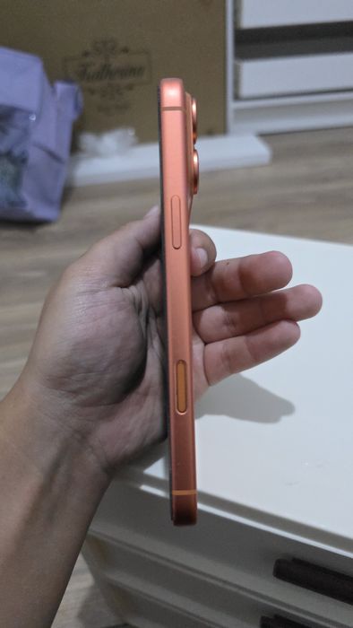 iPhone 17 pro max