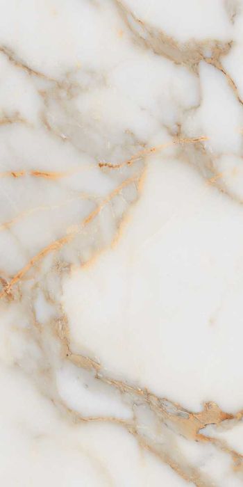 Gresie Alex Calacatta 60x120 Lucioasa