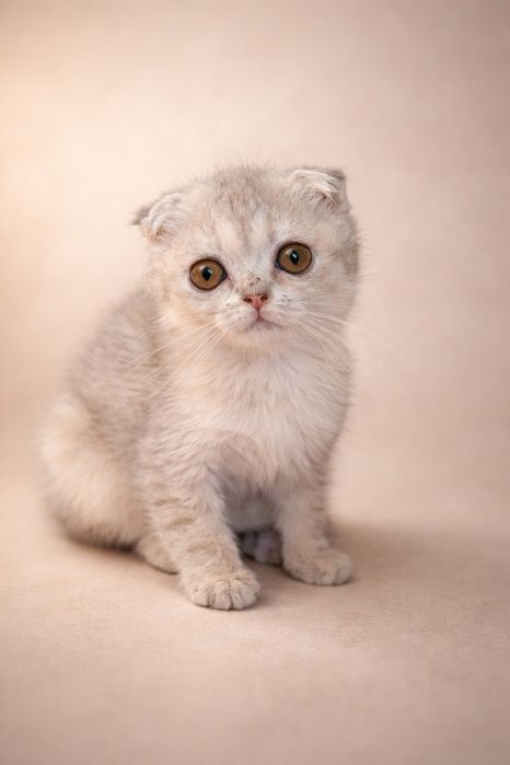 Девочка 3 месяцев