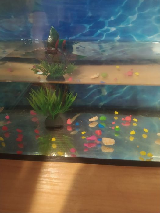 Продам аквариум с рыбками