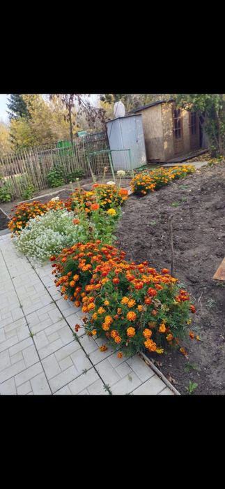 Дача общество искра