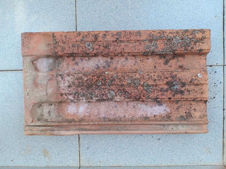 Tigla ceramica veche