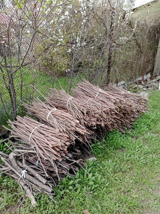 Продаю разные дрова