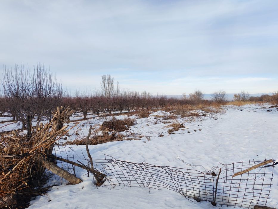 Продажа участка 1.6 га