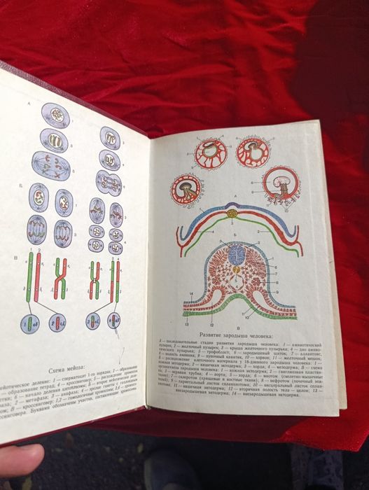 Анатомия издания СССР редкая