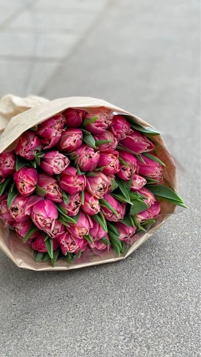 Предзаказ на тюльпаны по 750тг