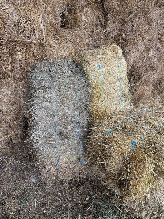 Baloți de fân de semănătură și coastă