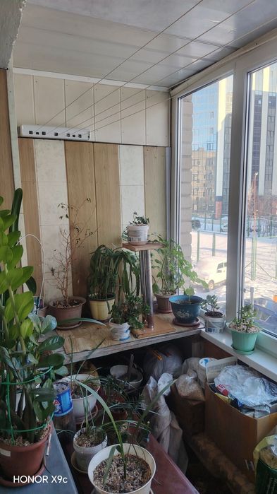 3-х комнатная квартира