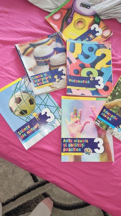 Lot manuale  clasa a 3a editura litera
