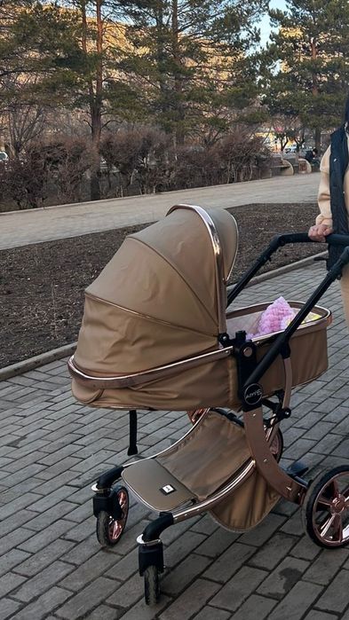 Коляска всесезонная