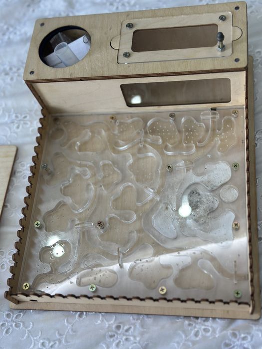 Дереванный качественный формекарий для муравьев