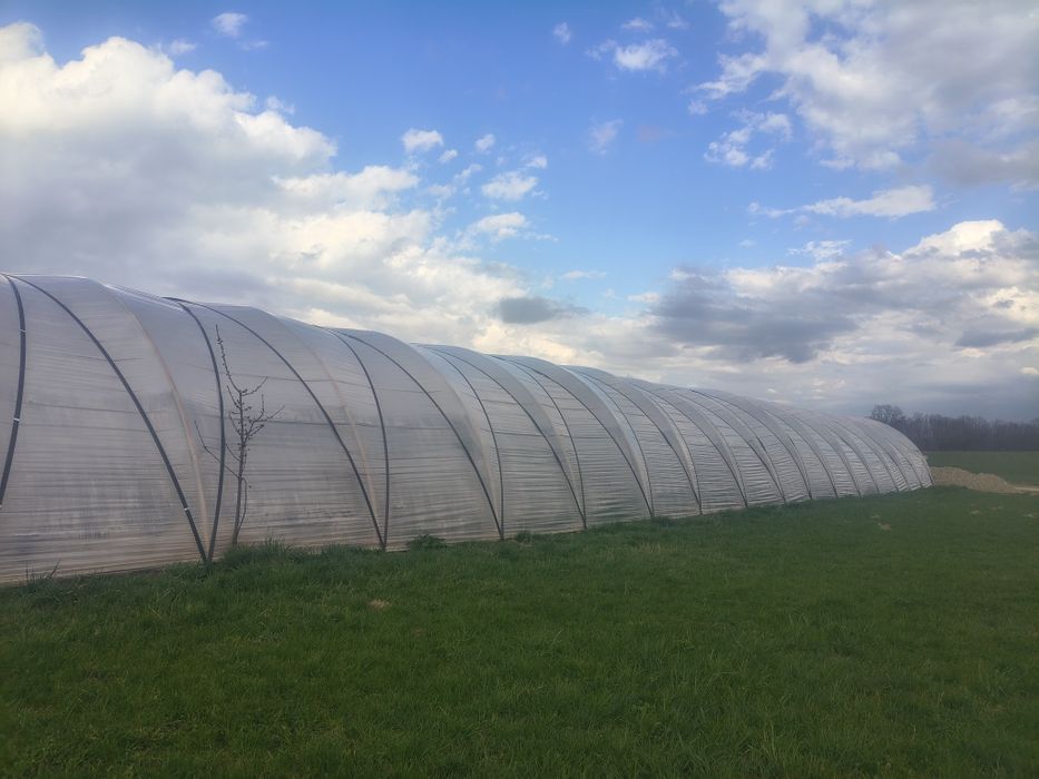 Tiava roluita 48.3 cu 3 MM  groasa 21.5 kg  135 de Ron bucata u