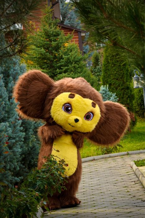 Аниматоры детские и взрослые