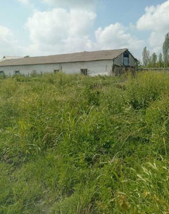 Срочно Тайёр Ферма Сотилади Корасуда 51 соток