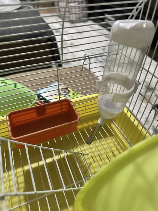 Клетка для хомяка 5000 тг + подарки