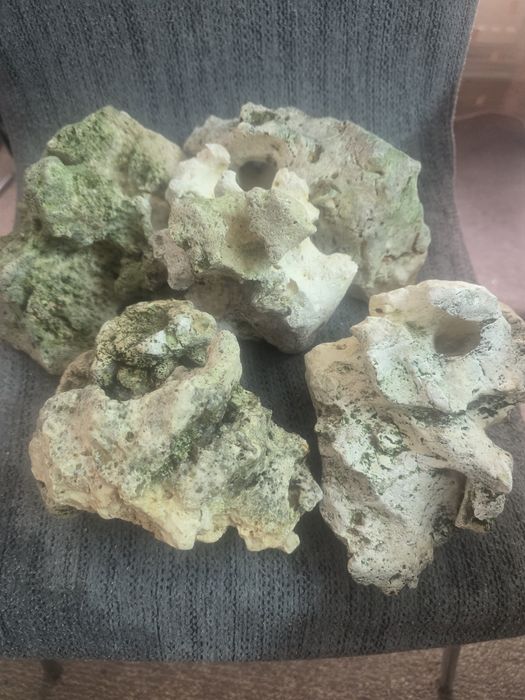 Vând roci pt acvariu