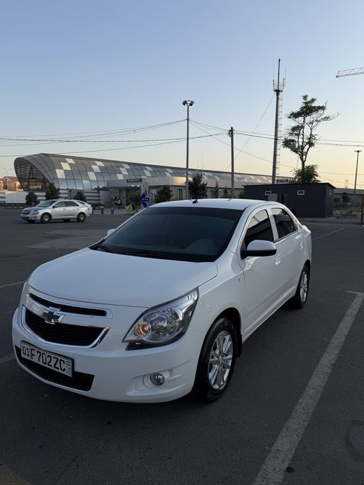 Cobalt kuzov 2026, Mcm style, tozza 100%.