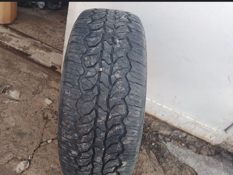 Продам шины всё сезонные