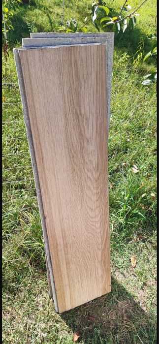 Vand Gresie interior