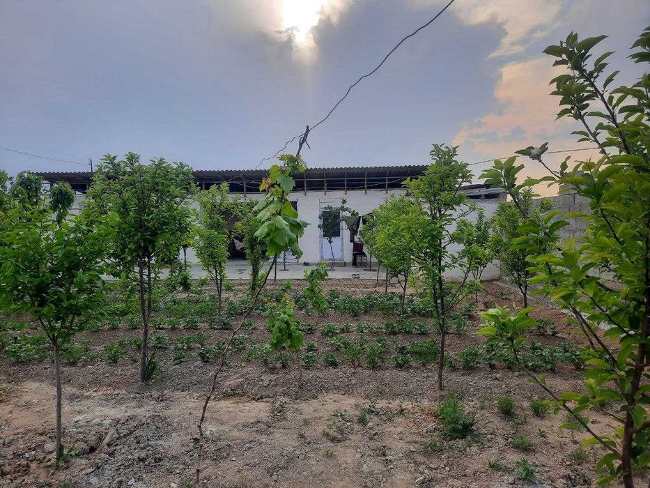 Hovli uy sotiladi. | Продается дом.