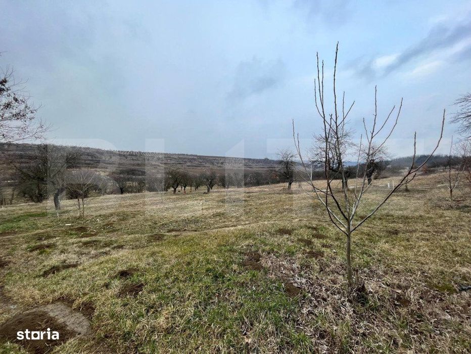 REDUCERE!!! Teren extravilan 5.613 mp, livada, zona Predesti
