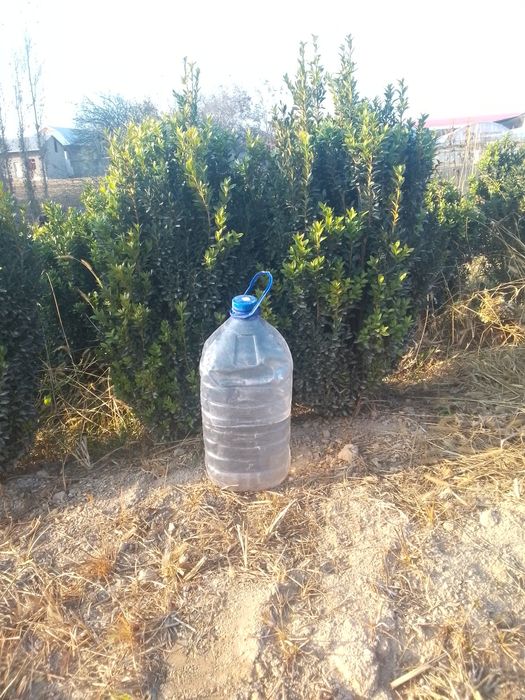 Shamshod manzara uchun