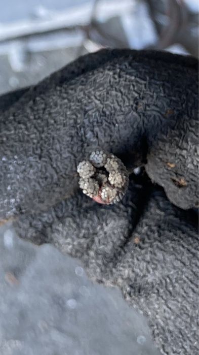 Трос стальной оцинкованный