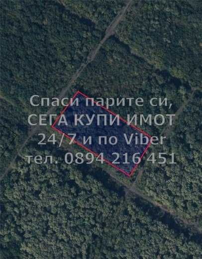 Гора 20дка - 3 имота и до заст. имоти до с. Бегово - код 61497