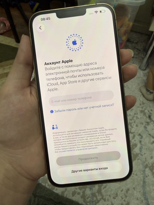 Iphone 13 pro max 256gb