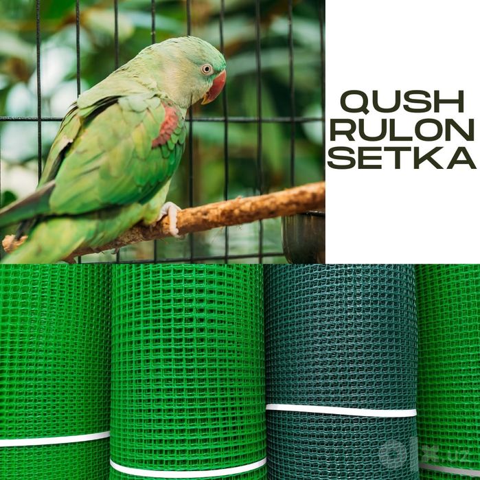 Qushlar uchun qush setka rulon setka yevrozabor evro zabor yevro setka