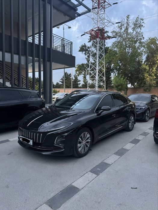 Hongqi eqm5 500tali