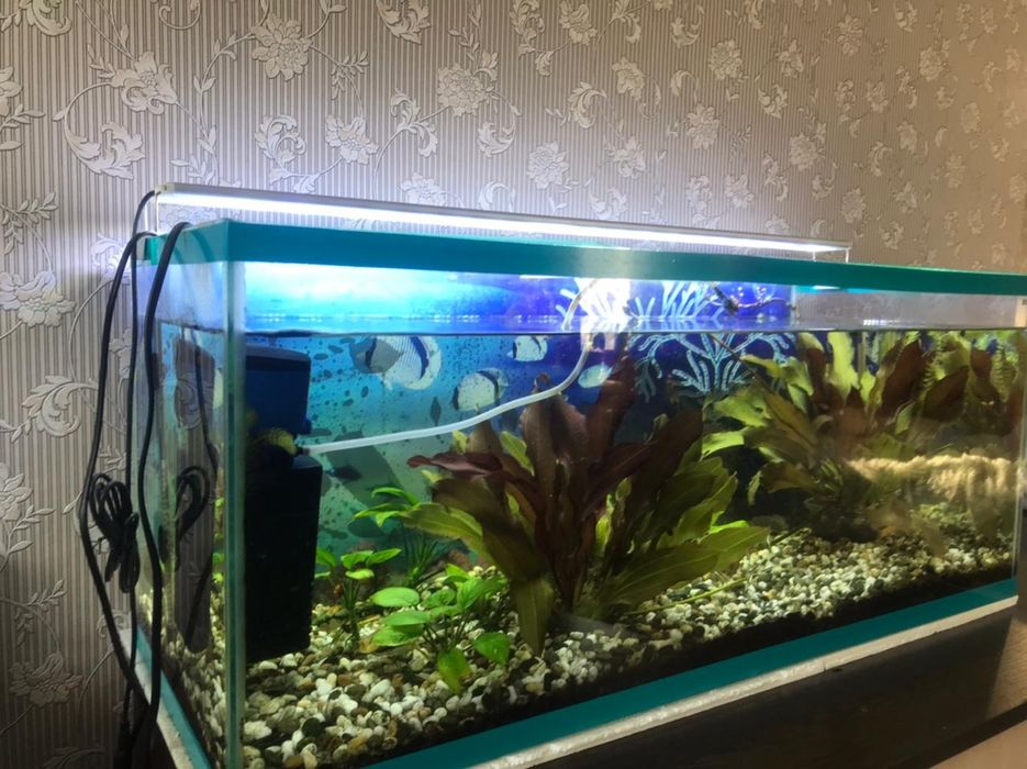 Продам аквариум,..