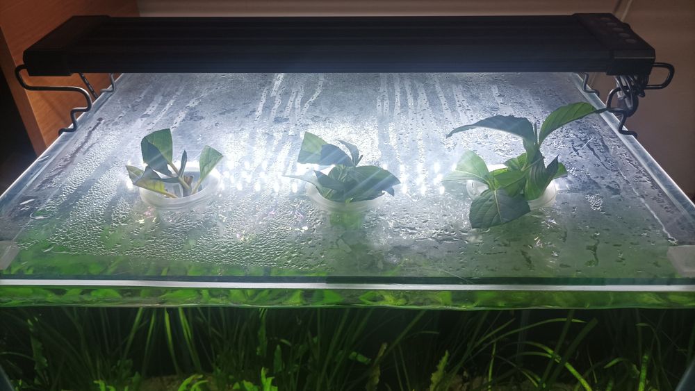 Аквариум 125 литров