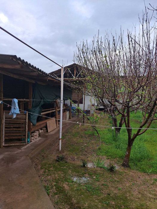 Katta bog'li dacha sotiladi