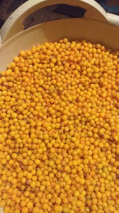 Продам облепиху свежую