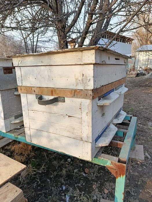 Продам улий для пчел