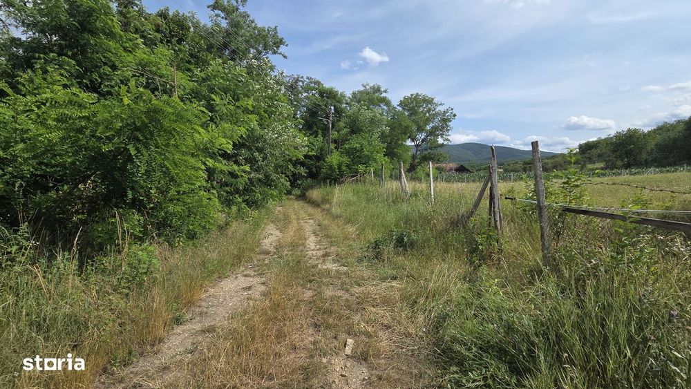 De vănzare teren intravilan Fetindia Salaj pret  1300e arul