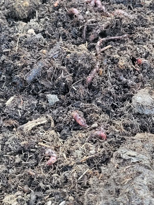 Все для огорода и сада,рыбалки