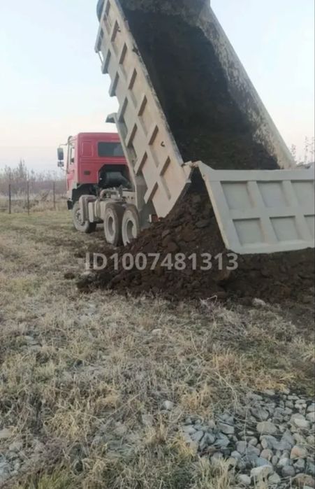 Продам сад яблоневый