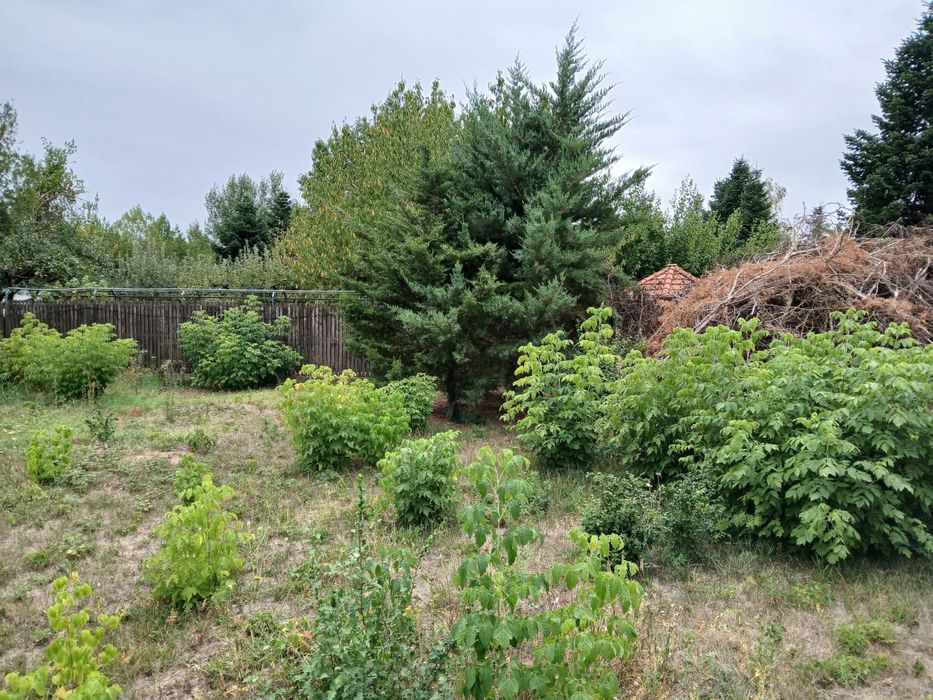 VLADICEASCA SNAGOV teren intravilan
