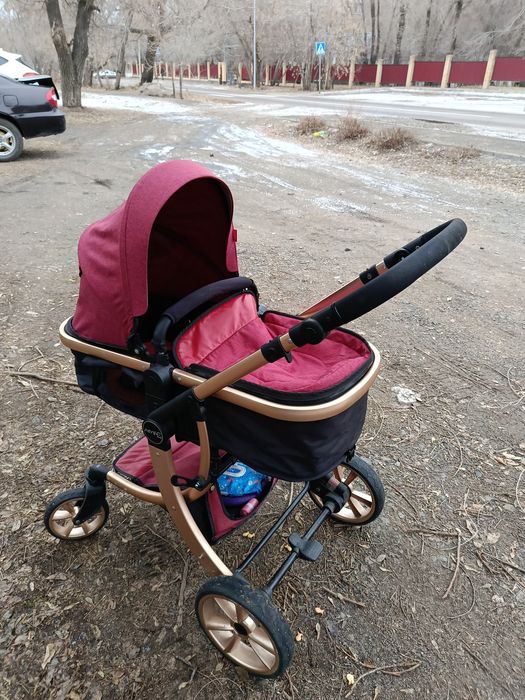 Коляска 2 в 1 Amilie