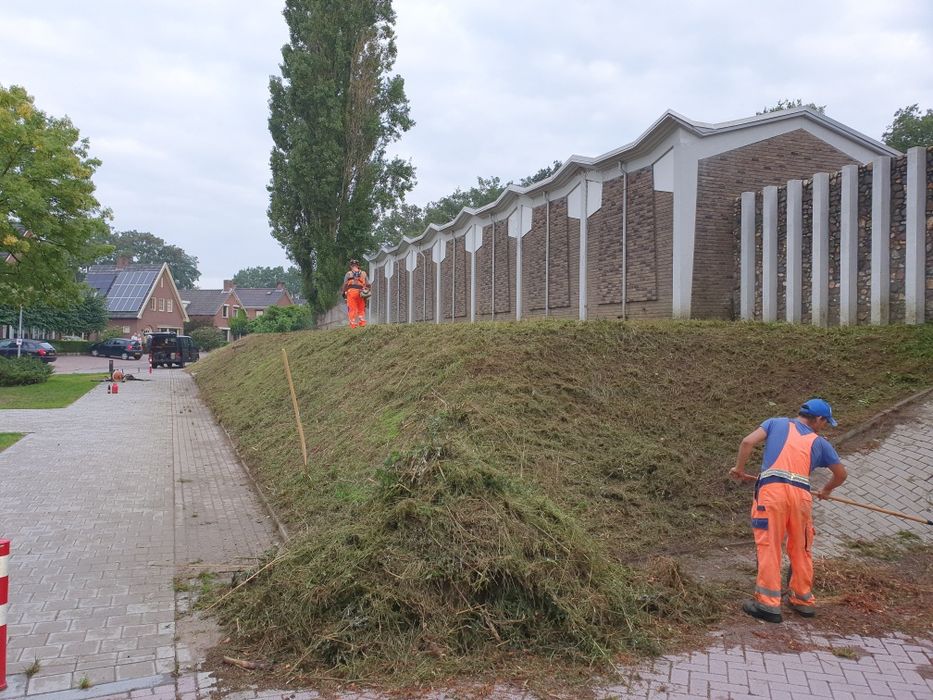 Defrisari terenuri Cosit iarbs, parcuri, păduri