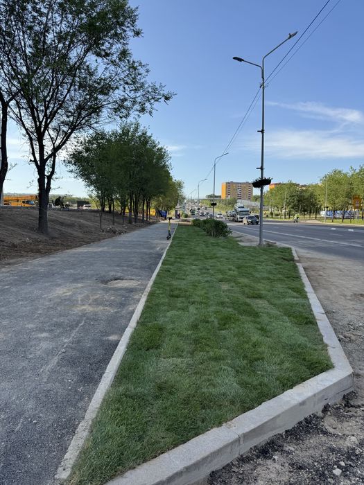 Рулонные газонн