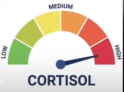 Спиниг въдица за риболов