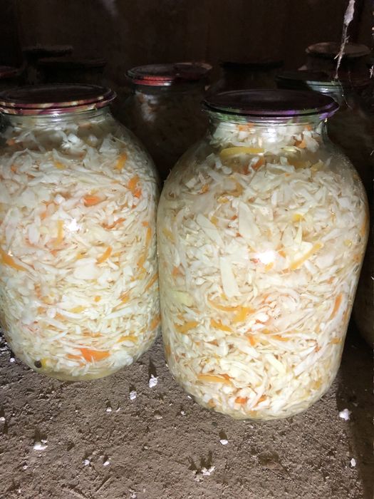 Соленье домашнее. Огурцы. Помидоры. Капуста